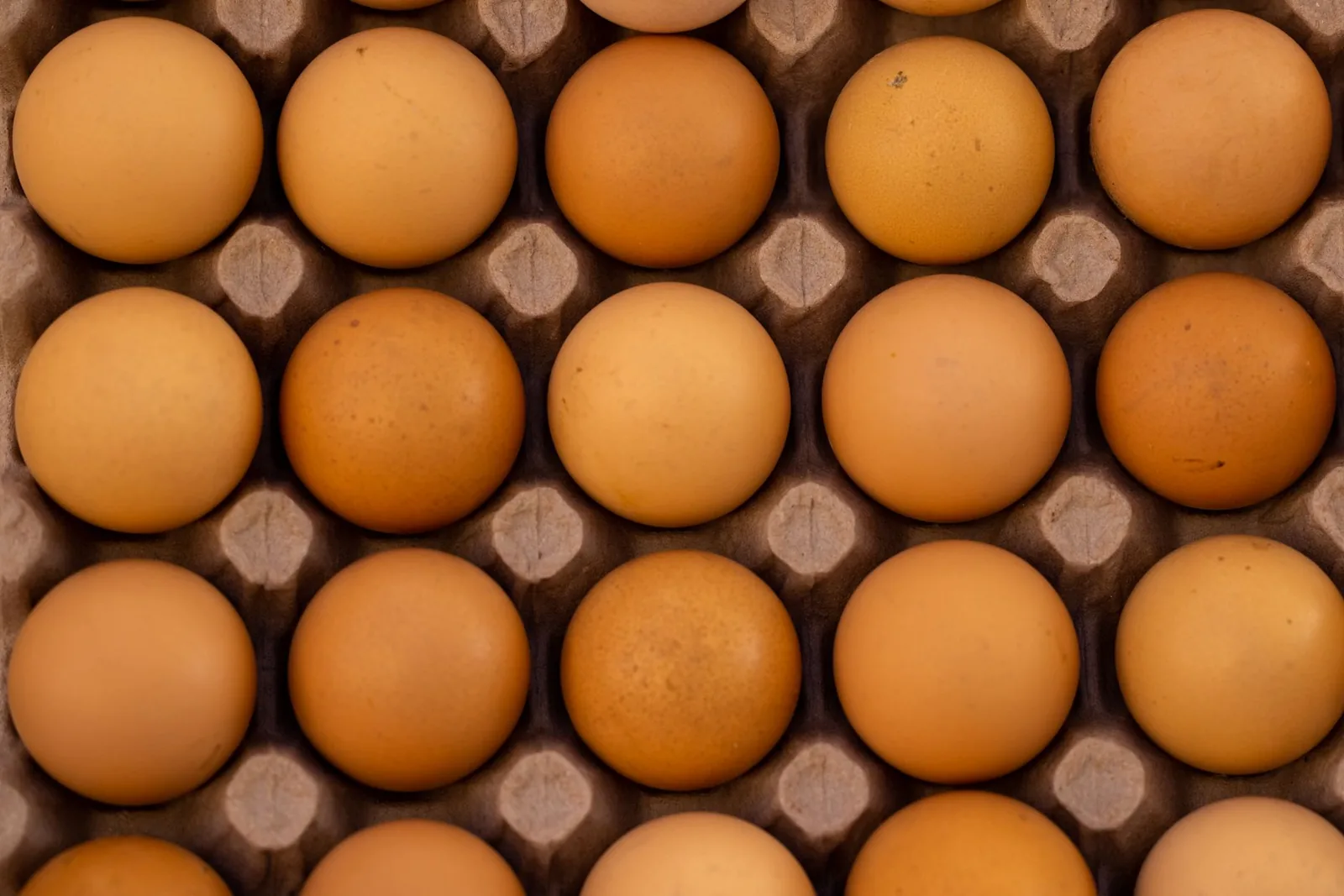 Egg-carton claims: organic, baladi and omega-3 — what does the producer actually owe you?